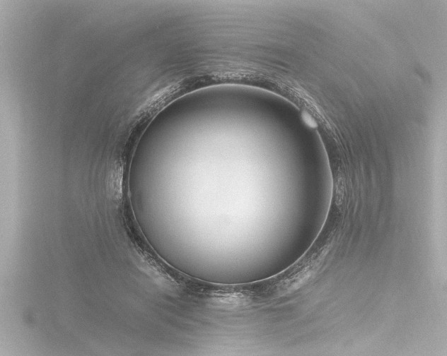 X0000116780454200912171535