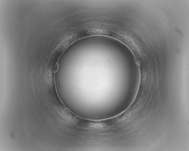 X0000116780457200912171535