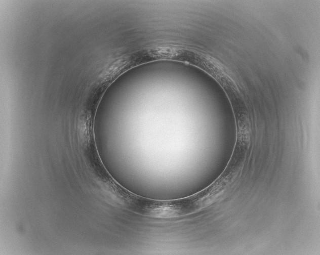 X0000116780460200912171535