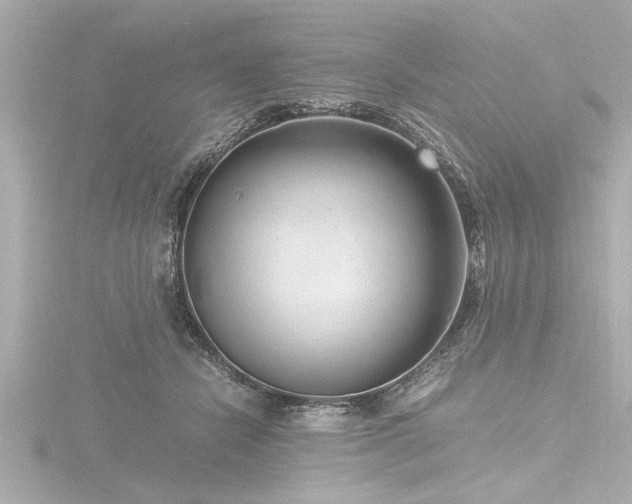X0000116780462200912171535