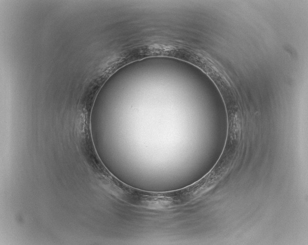 X0000116780463200912171535