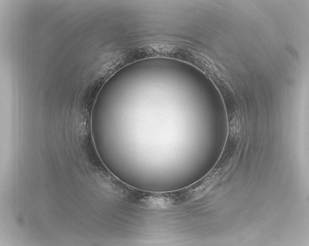 X0000116780464200912171535