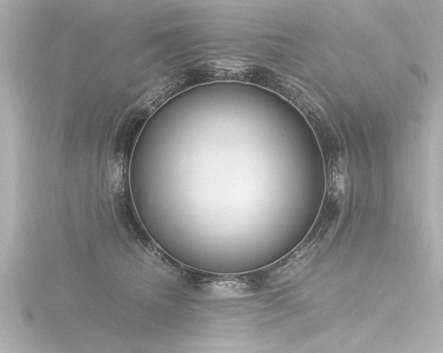 X0000116780468200912171535