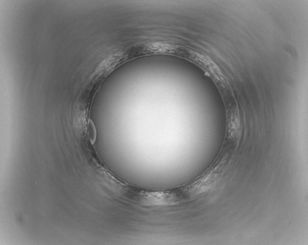X0000116780473200912171535