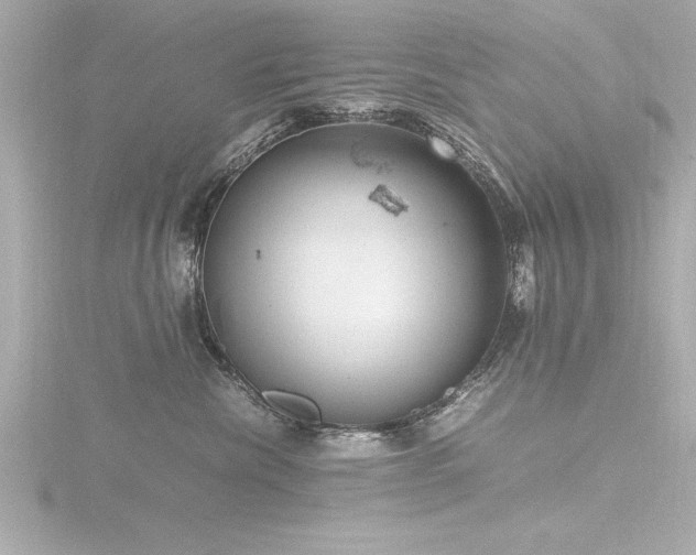 X0000116780476200912171536