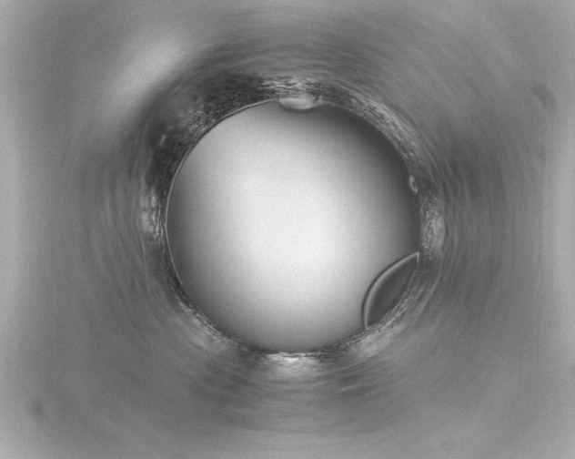 X0000116780477200912171536