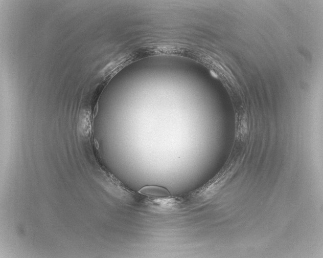 X0000116780478200912171536