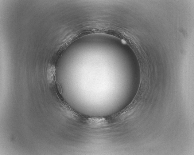 X0000116780480200912171536