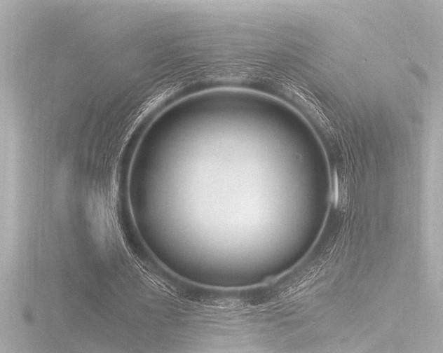 X0000116780483200912171535