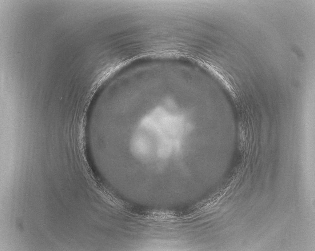 X0000116780487200912171535