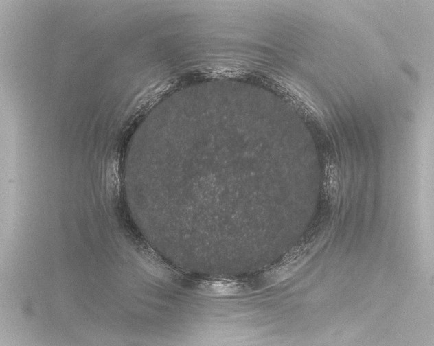 X0000116780506200912171534