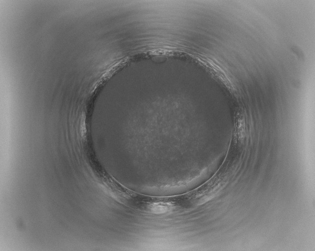 X0000116780508200912171534