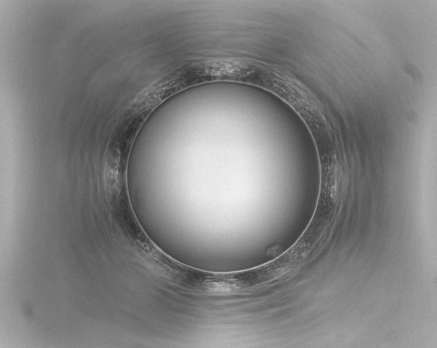 X0000116780510200912171534