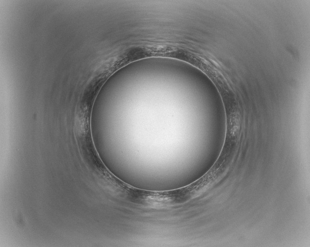 X0000116780515200912171534