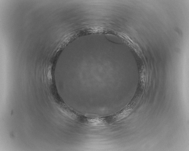 X0000116780516200912171534