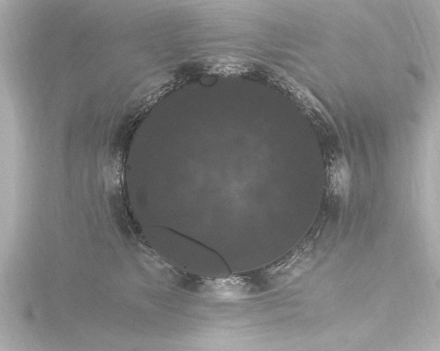 X0000116780517200912171534