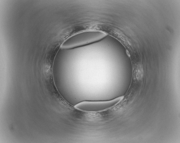X0000116780521200912171534