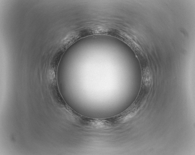 X0000116780523200912171534