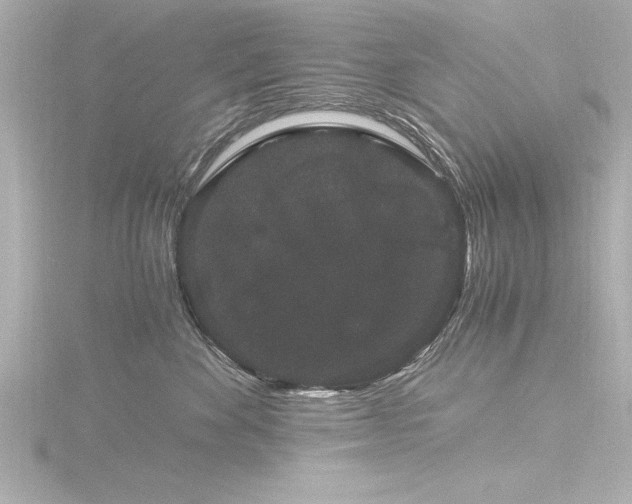 X0000116780524200912171534