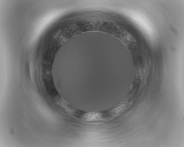 X0000116780526200912171534