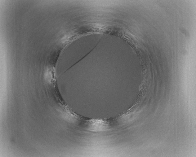 X0000116780528200912171534