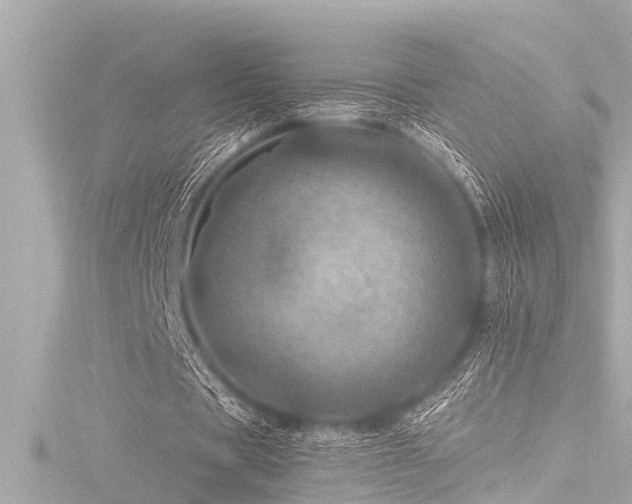 X0000116780529200912171533
