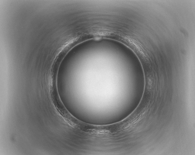 X0000116780539200912171533