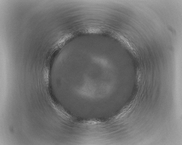 X0000116780542200912171533
