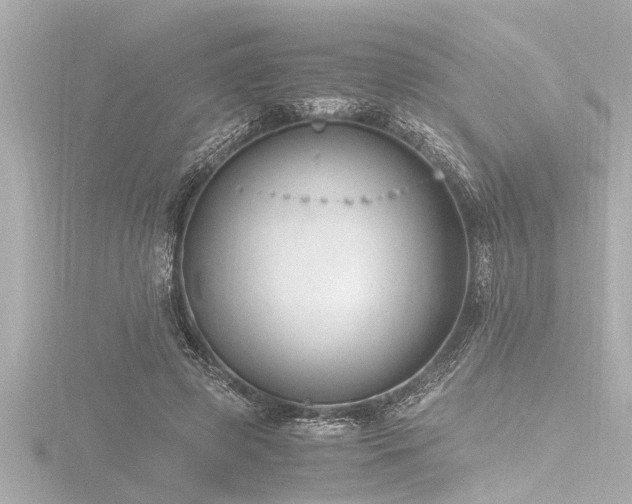 X0000116780545200912171533