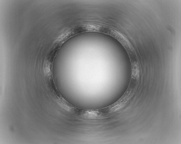 X0000116780573200912171534