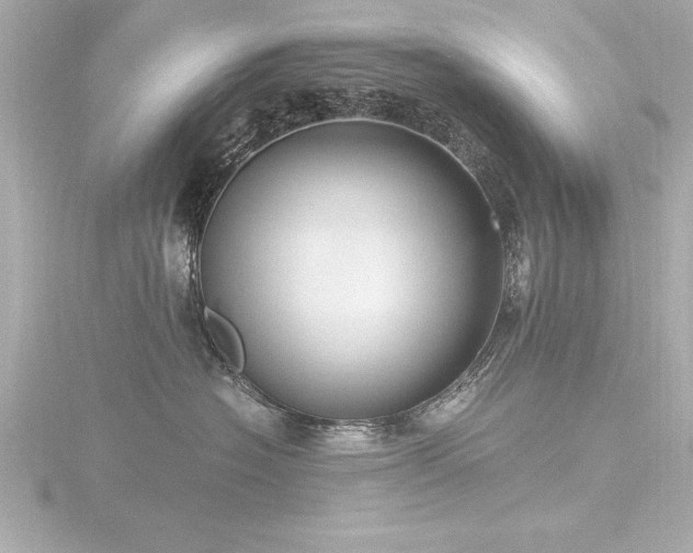 X0000116780574200912171534