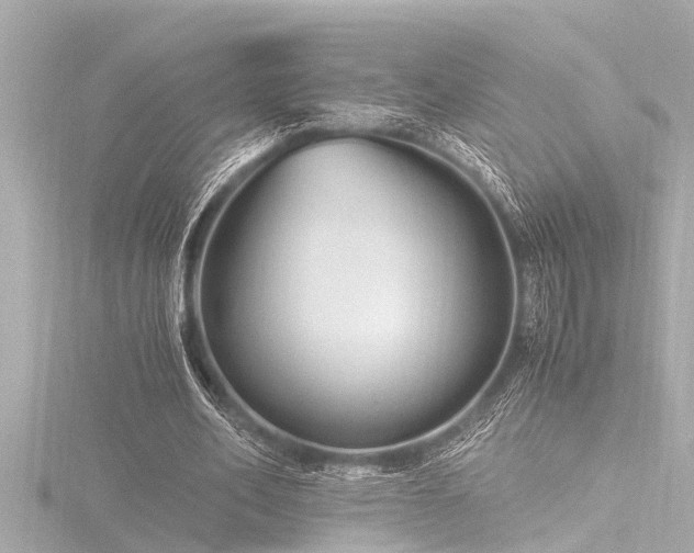 X0000116780582200912171533