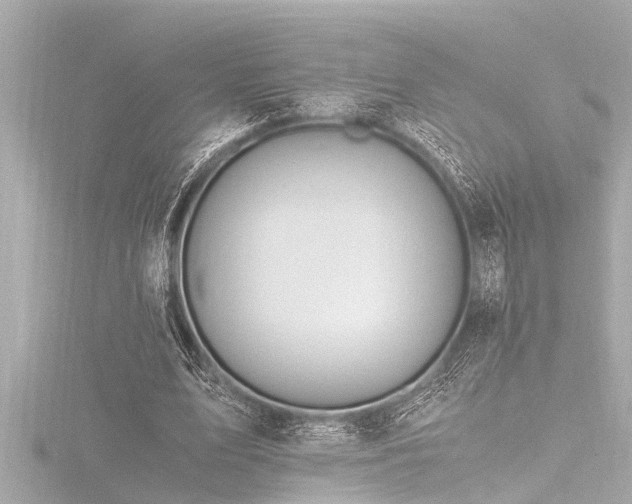 X0000116780583200912171533