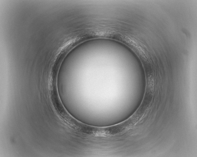 X0000116780587200912171533