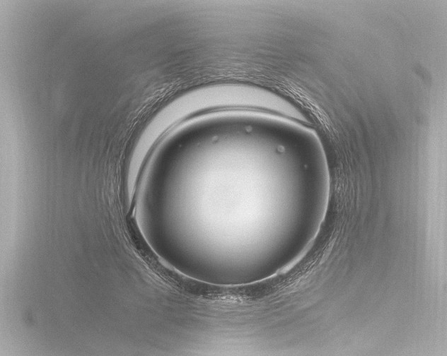 X0000116780593200912171533