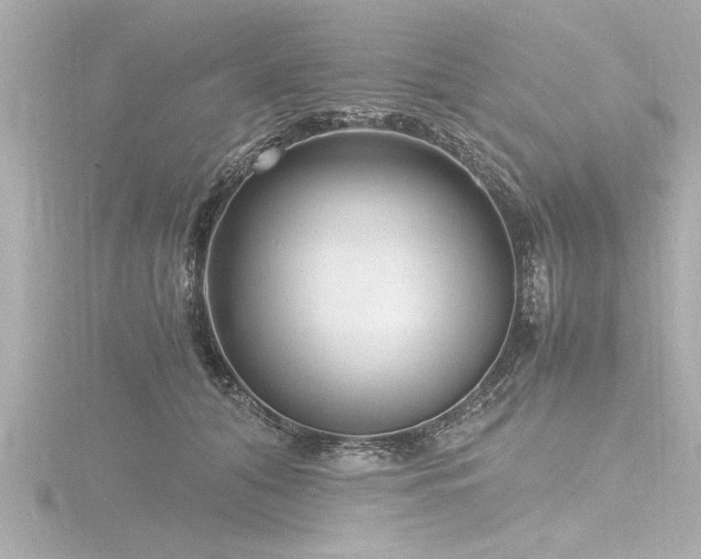 X0000116780608200912171533