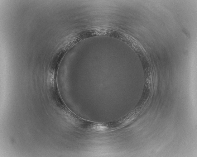 X0000116780610200912171533