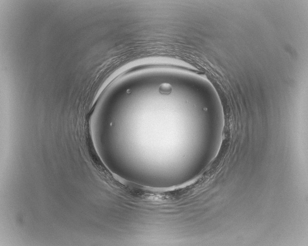 X0000116780611200912171533