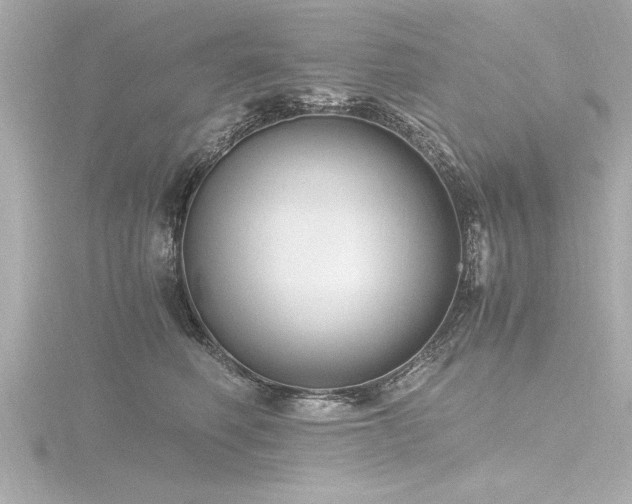 X0000116780614200912171533
