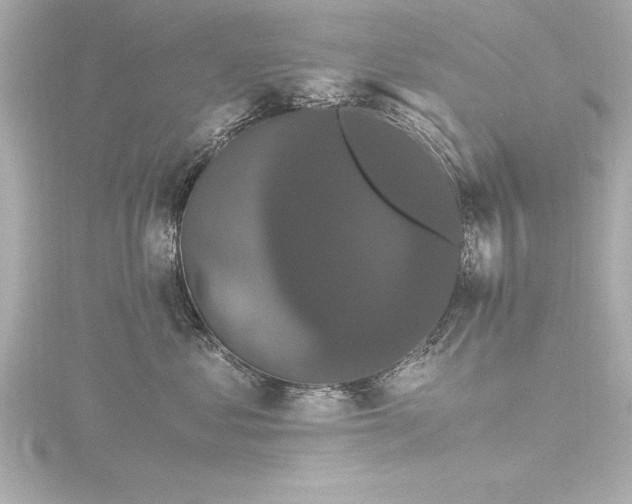 X0000116780621200912171533