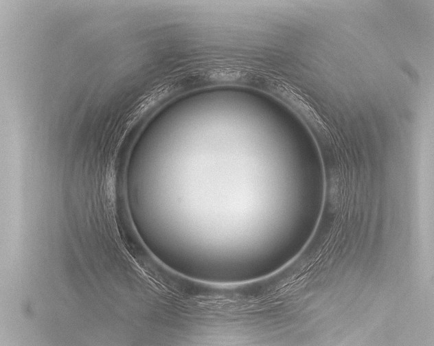 X0000116780626200912171532