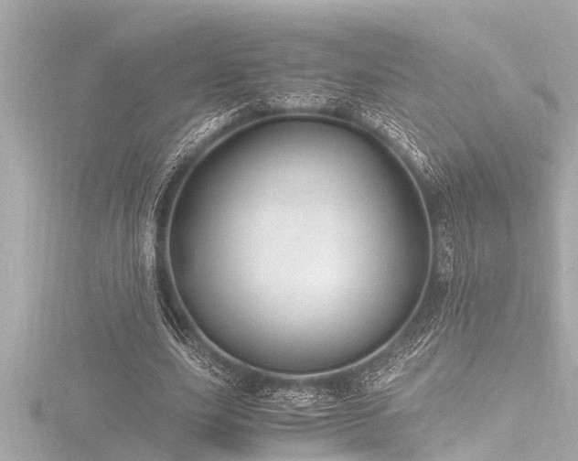 X0000116780631200912171532