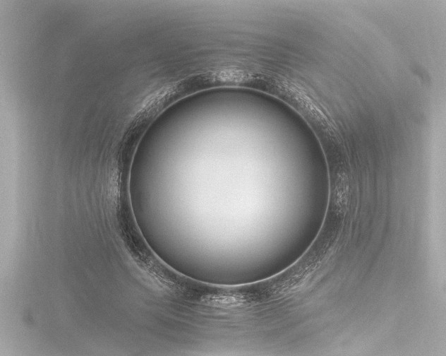 X0000116780639200912171532