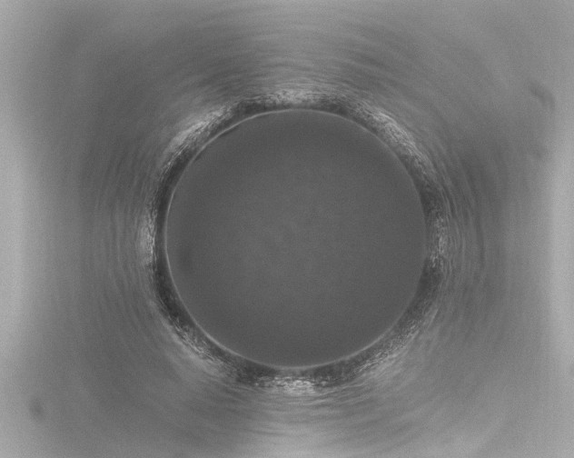 X0000116780640200912171532