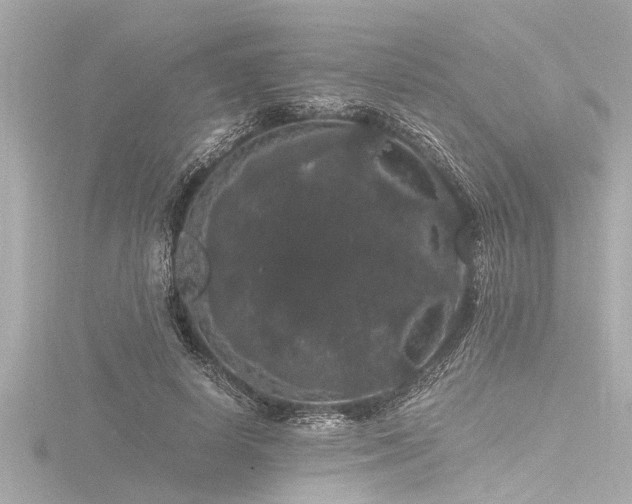 X0000116780642200912171532