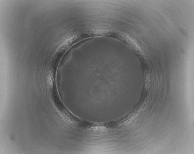 X0000116780644200912171532