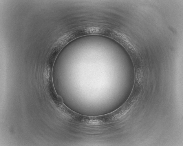 X0000116780645200912171532
