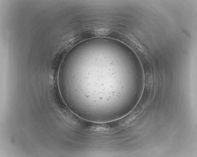 X0000116780655200912171532