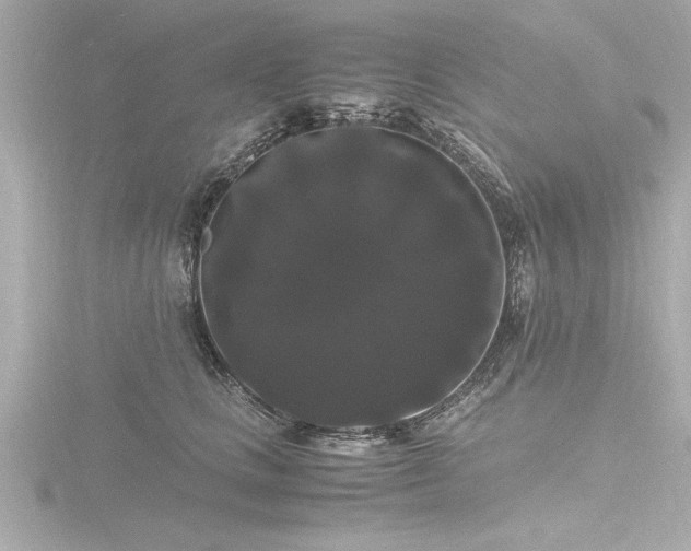 X0000116780661200912171532