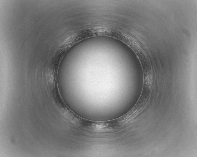 X0000116780662200912171532